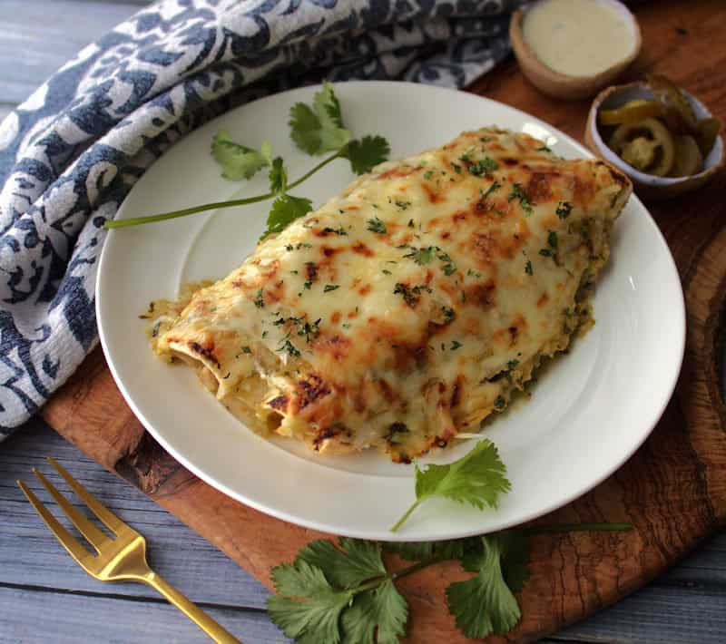 white plate with green chicken enchiladas garnished with fresh cilantro