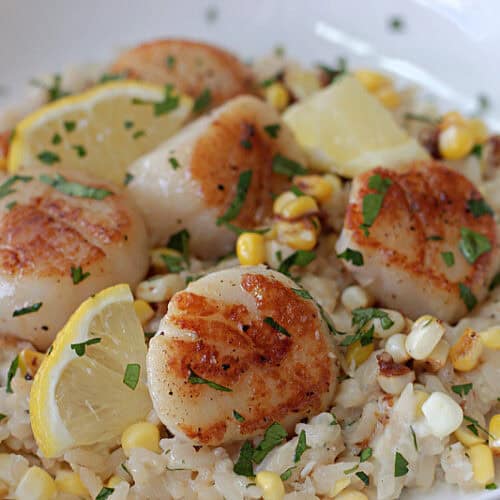 shallow white bowl with risotto and pan seared scallops garnished with parsley and lemon slices