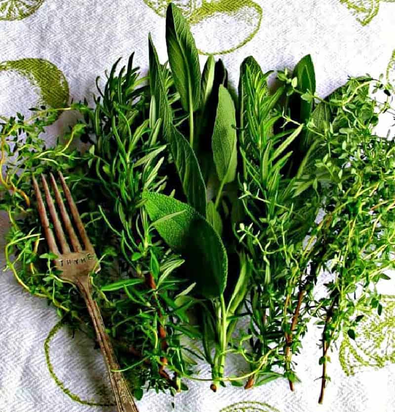 overhead view of fresh hers for how to preserve fresh herbs blog post