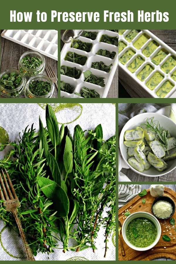 collage showing step by step how to preserve fresh herbs by freezing them.