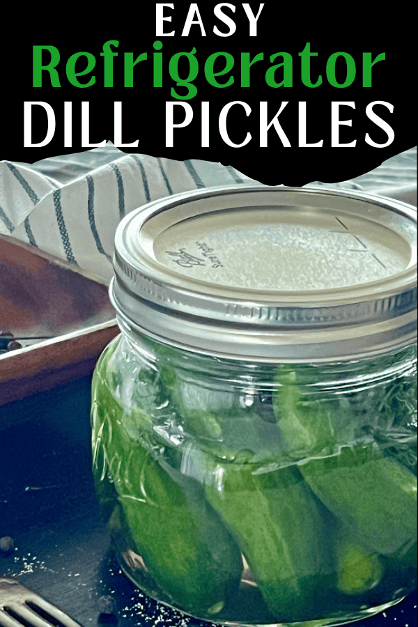 pinterest pin for refrigerator dill pickles