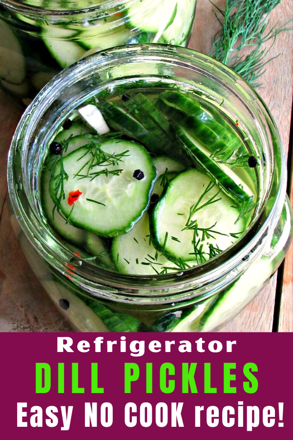 pinterest pin showing overhead view of refrigerator dill pickles