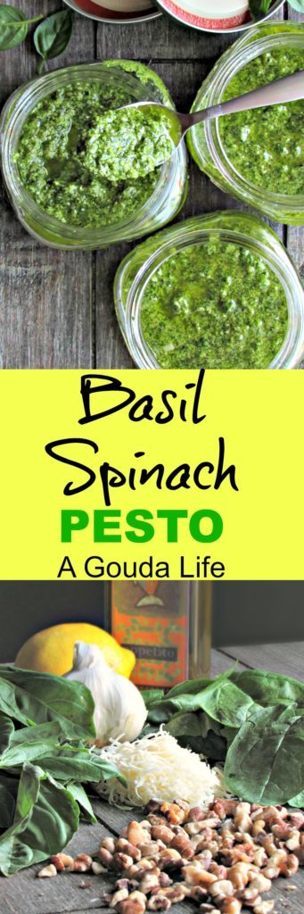 Basil Spinach Pesto ~ a simple no-cook sauce delicious on pasta, pizza or as an appetizer, made completely in a food processor or blender. 