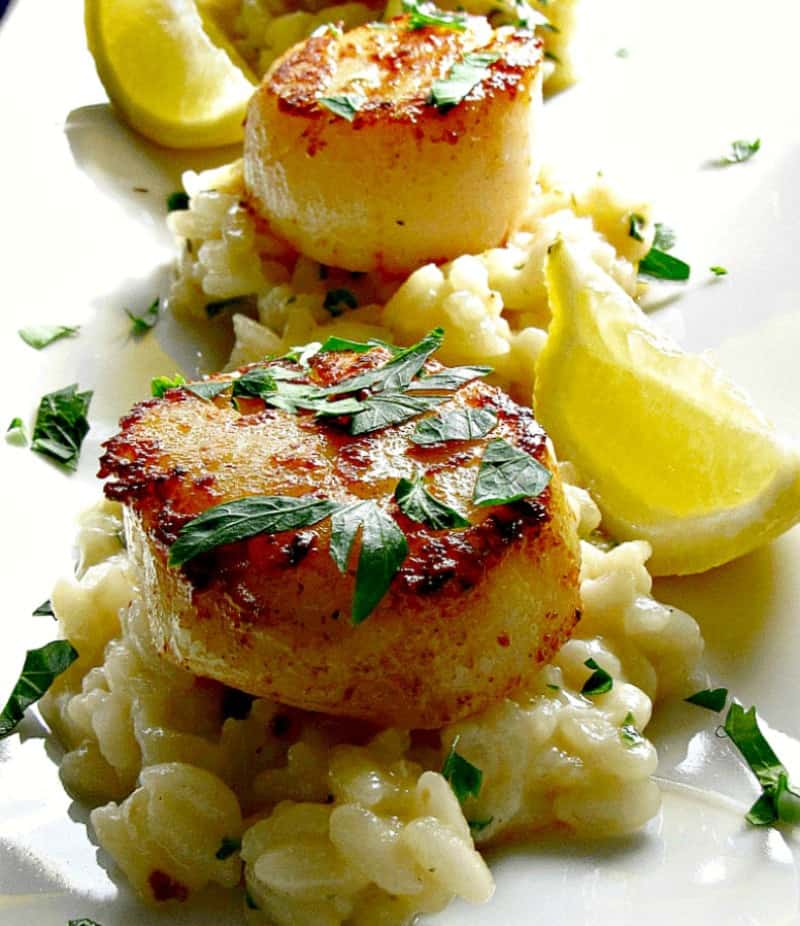 lemon garlic butter sea scallops on white platter on a bed of risotto
