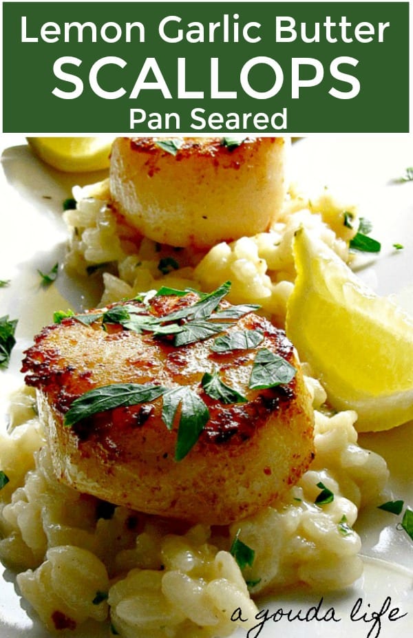 pinterest pin - closeup of seared scallops on bed of risotto with lemon wedge